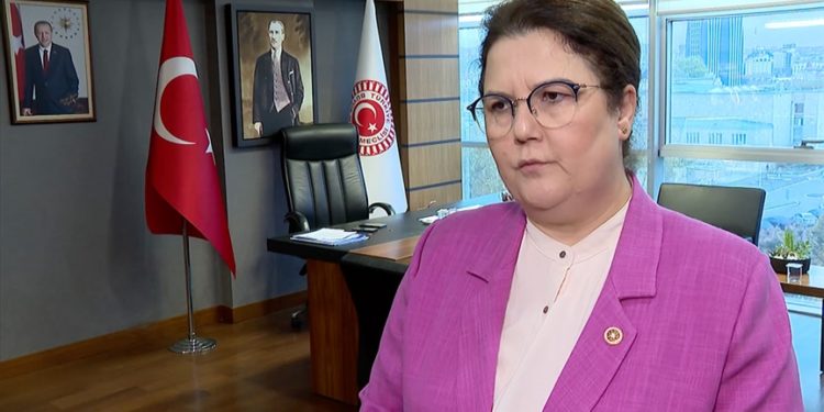 Meclis İnsan Hakları Komisyonu, kurumların çalışmalarına “rehber” oluyor