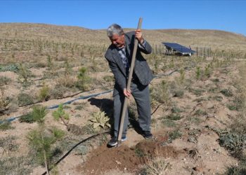 Yozgat’ta doğa gönüllüsü 23 yılda 25 hatıra ormanı oluşturdu