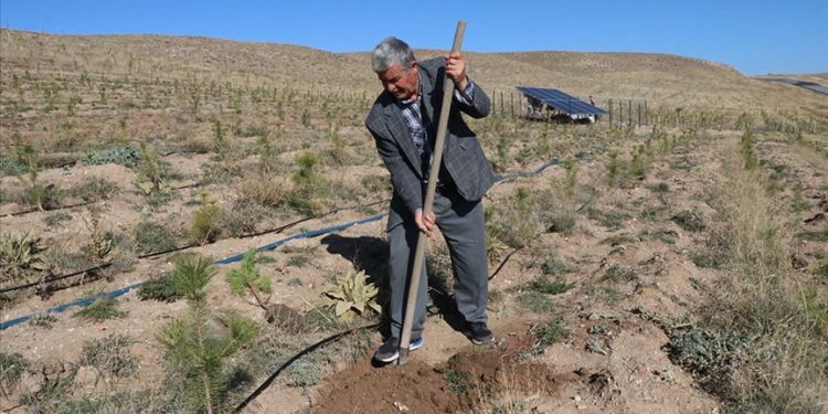 Yozgat’ta doğa gönüllüsü 23 yılda 25 hatıra ormanı oluşturdu