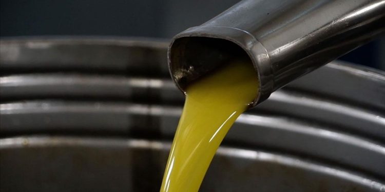 Zeytinyağında Türkiye fiyatları dünyayla paralel gidiyor