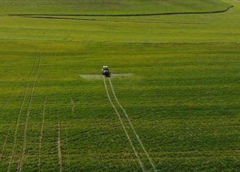 Tarım ÜFE ekimde aylık yüzde 1,13 azalırken yıllık yüzde 62,56 arttı