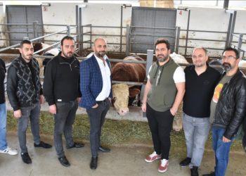 Bursalı 9 kasap kuzen, devlet desteğiyle besi çiftliği kurdu