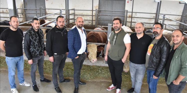 Bursalı 9 kasap kuzen, devlet desteğiyle besi çiftliği kurdu