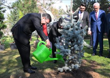 Cumhurbaşkanı Yardımcısı Yılmaz, Milli Ağaçlandırma Günü dolayısıyla fidan dikti