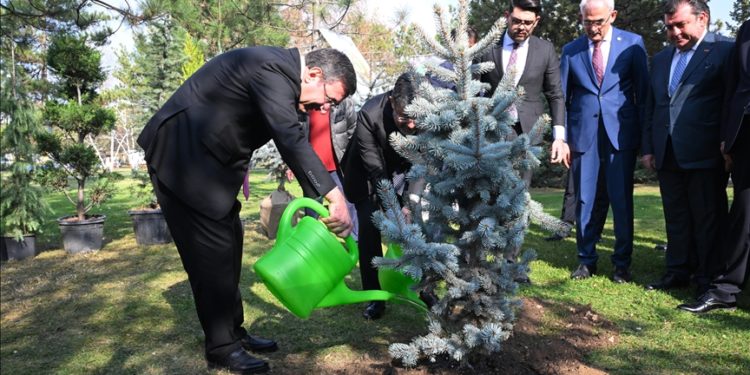 Cumhurbaşkanı Yardımcısı Yılmaz, Milli Ağaçlandırma Günü dolayısıyla fidan dikti