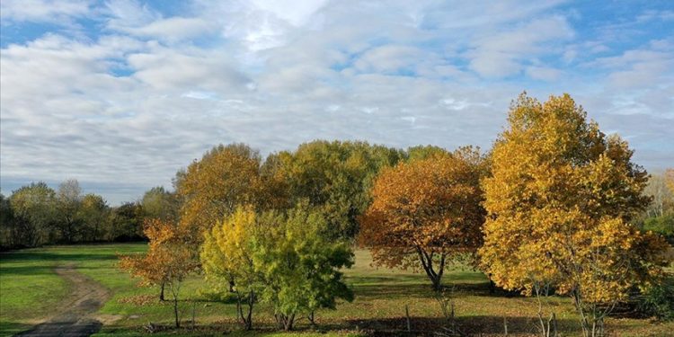 Edirne hazan renklerine büründü