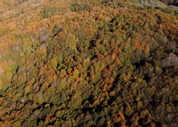 Osmaniye'deki Dumanlı Yaylası sonbahar renklerine büründü