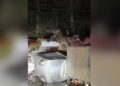 Uludağ'da devirdikleri çöp konteynerlerindeki yiyeceklerle beslenen ayılar kamerada