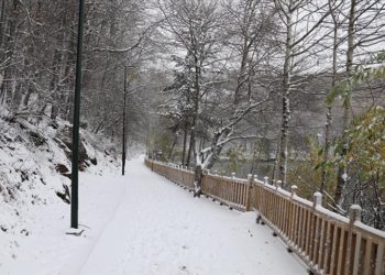 Ankara’nın Karagöl Tabiat Parkı beyaza büründü