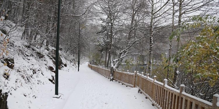 Ankara’nın Karagöl Tabiat Parkı beyaza büründü