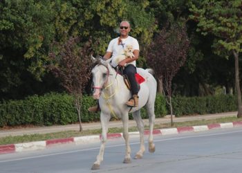 Hataylı depremzede ağır hasar alan barakadan kurtardığı atını yanından ayırmıyor