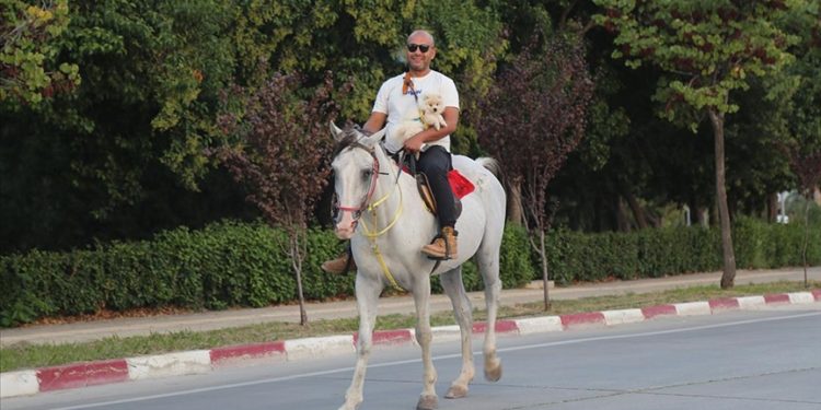 Hataylı depremzede ağır hasar alan barakadan kurtardığı atını yanından ayırmıyor