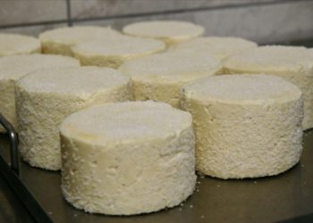 Mengen’in coğrafi işaretli peyniri, kooperatif çalışmasıyla ününü yayacak