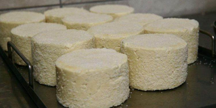 Mengen’in coğrafi işaretli peyniri, kooperatif çalışmasıyla ününü yayacak