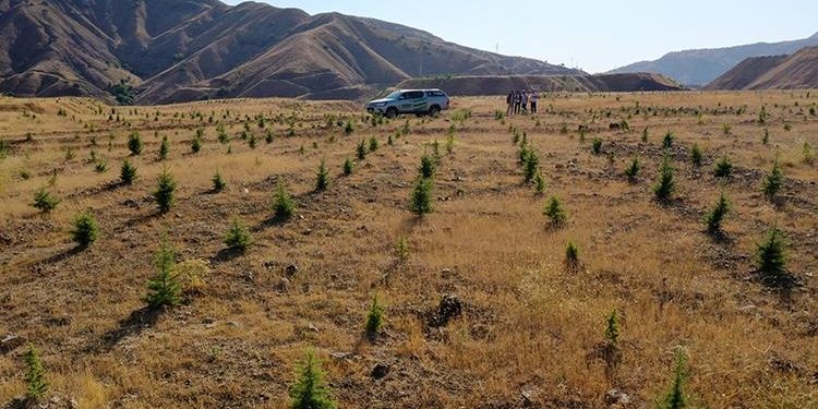 Eski maden sahaları çiçek ve ağaçlarla donatılıyor