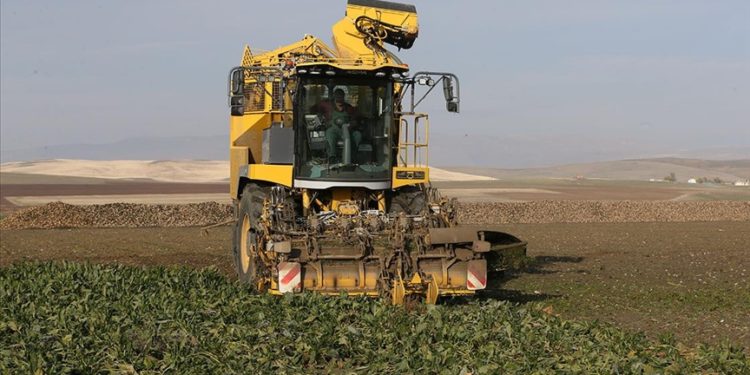 Muş ve Bitlis’te 800 bin ton pancarın şekere dönüşen yolculuğu sürüyor