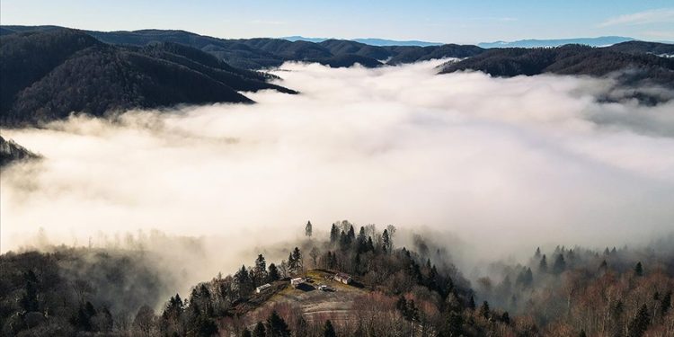 Çam Dağı'nda renk cümbüşüyle bütünleşen sis bulutu dronla görüntülendi