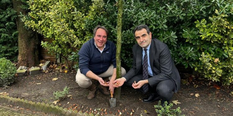 Türkiye’nin Lahey Büyükelçiliğinin bahçesi “İstanbul Lalesi” ile renklenecek