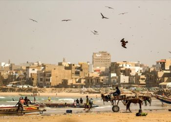 Senegal’de ekmeğini denizden çıkaranlar; geleneksel balıkçılar
