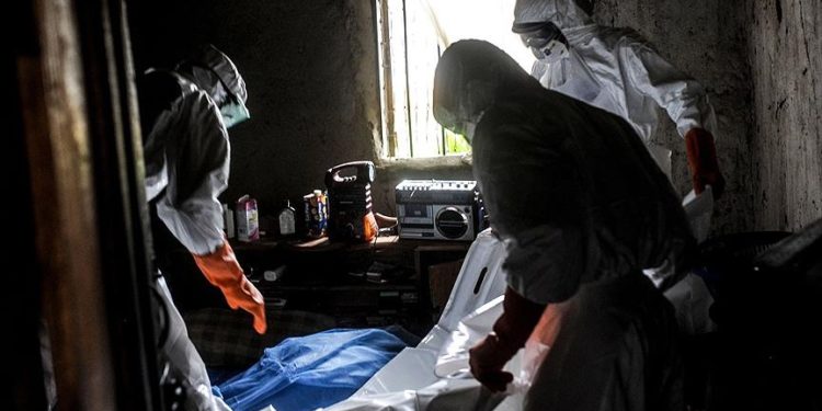 DSÖ’den 5 Afrika ülkesi için şarbon salgını uyarısı