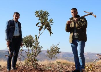 Siirt’te atıl arazi özel bireyler için hobi bahçesine dönüştürüldü