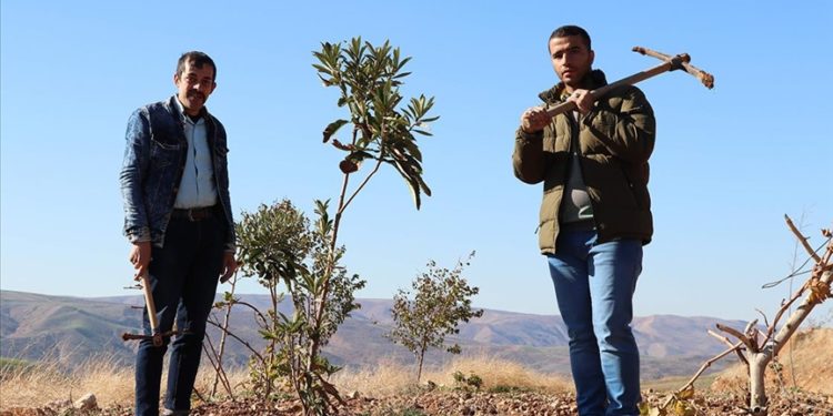Siirt’te atıl arazi özel bireyler için hobi bahçesine dönüştürüldü