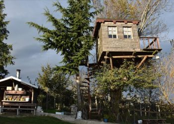 Ordulu ailenin 17 metrekarelik ağaç evi hafta sonları buluşma noktası oldu