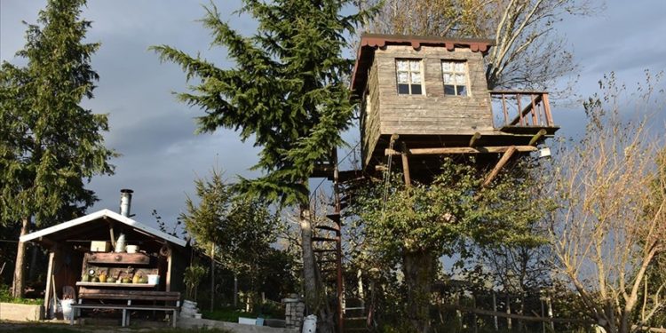 Ordulu ailenin 17 metrekarelik ağaç evi hafta sonları buluşma noktası oldu