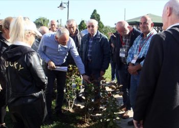 Sinop’ta “yaşlılar” üniversite sıralarıyla buluşmanın heyecanını yaşıyor