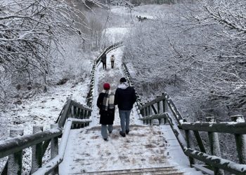 Beyaz örtüyle kaplanan Abant Gölü Milli Parkı'nda hamsi festivali düzenlendi