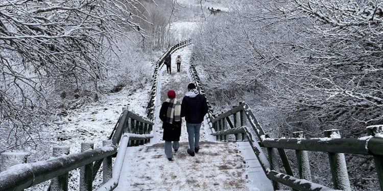 Beyaz örtüyle kaplanan Abant Gölü Milli Parkı'nda hamsi festivali düzenlendi