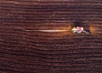 Trakyalı çiftçiler, buğdayda verim artışı için ilkbahar yağışlarını bekliyor