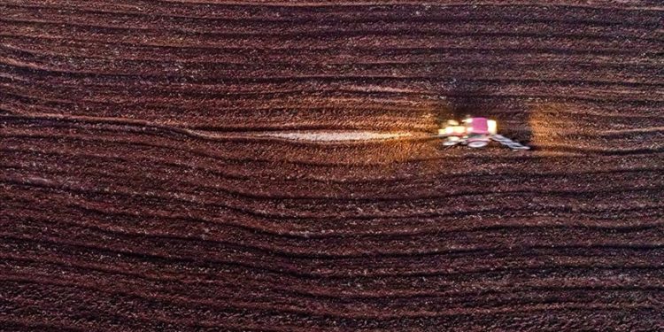 Trakyalı çiftçiler, buğdayda verim artışı için ilkbahar yağışlarını bekliyor