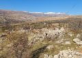 Tunceli'de koruma altındaki yaban keçileri yerleşim yerine indi