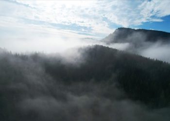 Kastamonu'da sisle buluşan ormanlar dron ile görüntülendi
