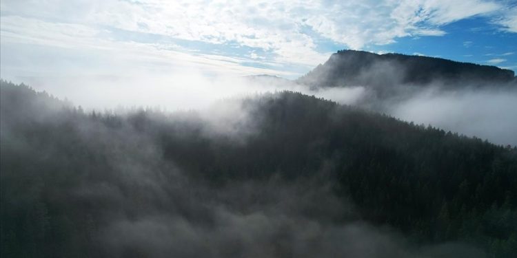 Kastamonu'da sisle buluşan ormanlar dron ile görüntülendi