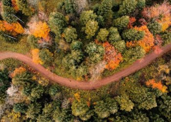 Çam Dağı renk cümbüşüyle doğanın güzelliğini yansıtıyor