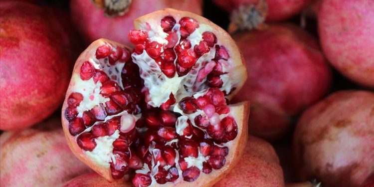 Siirt’te hasadı yapılan Zivzik narının satışına başlandı