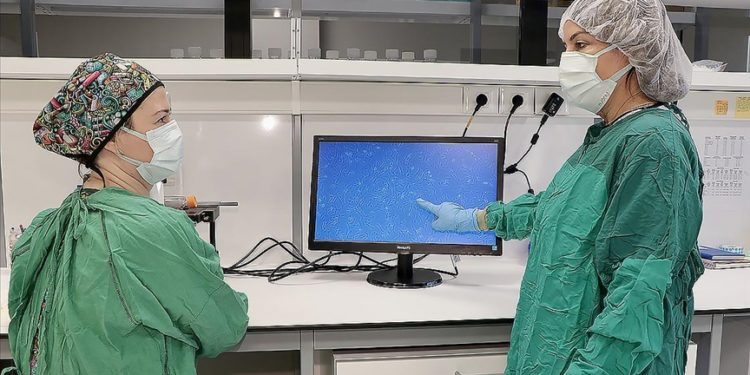 Türk bilim insanları koronavirüse karşı hazırlanacak ilaç için antikor üretti