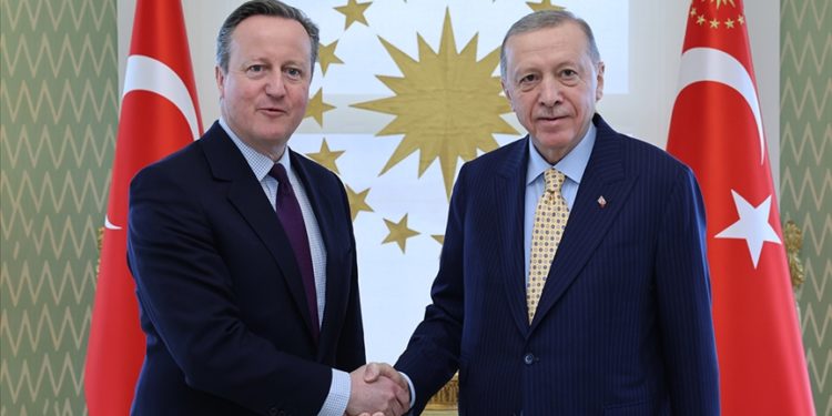 Cumhurbaşkanı Erdoğan, İngiltere Dışişleri Bakanı Cameron'ı kabul etti