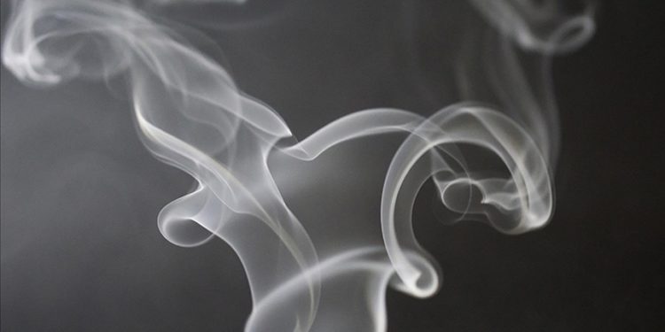 DSÖ’den tütün kullanımında yaşanan azalmaya rağmen “rehavete kapılmama” uyarısı