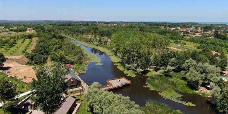 Acarlar Longozu geçen yıl 140 binden fazla ziyaretçiyi ağırladı