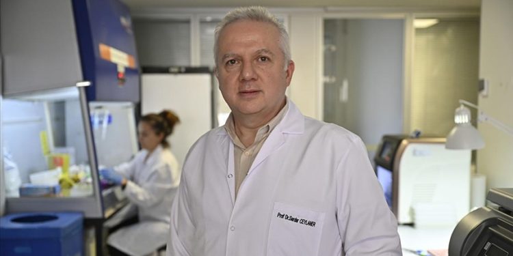 “Gluten hassasiyeti” migren ataklarını tetikleyebilir