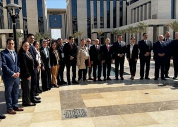 Türk hekimler, Mısır Sağlık Bakanı tarafından kabul edildi