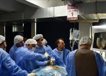 Bursa’da 23 ülkeden hekimler kadavra kursunda endoskopik omurga cerrahisini öğrendi