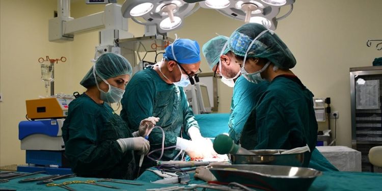 Malatya, çapraz karaciğer nakillerinde dünyanın merkezi olmayı hedefliyor