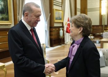 Cumhurbaşkanı Erdoğan, ABD'li Senatör Shaheen'i kabul etti