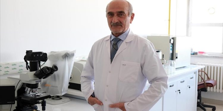 Hitit Üniversitesinde diyabetin neden olduğu doku hasarlarının nasıl durdurulacağı araştırılıyor