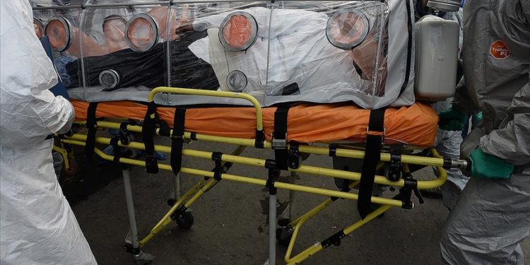 Nijerya'da menenjit salgınında 3 ayda 202 kişi hayatını kaybetti