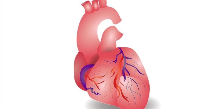 İnsan vücudundaki nanoplastikler ile kalp krizi ve felç arasında bağlantı tespit edildi